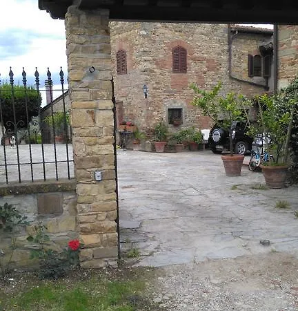 Ale E Nina Antella