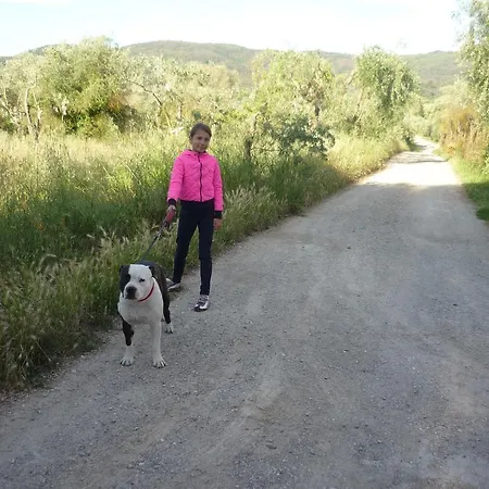 Ale E Nina Antella